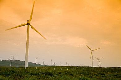 建设新农村 《老家生活》公布Steam页面2023年发售